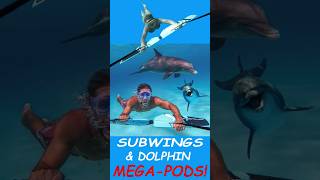 Dolphin Mega-pods Love Subwingers