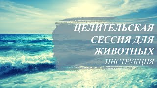 Инструкция. Целительская сессия для животных Инструкция. Целительская сессия для животных
