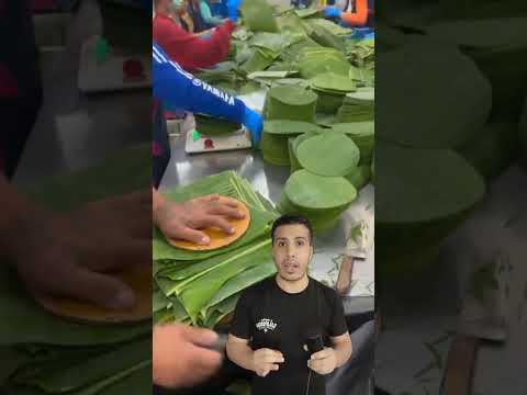 اواني ورق الموز  اكسبلور فكرتين  بحر اساورخرز سمك ترند البحر 