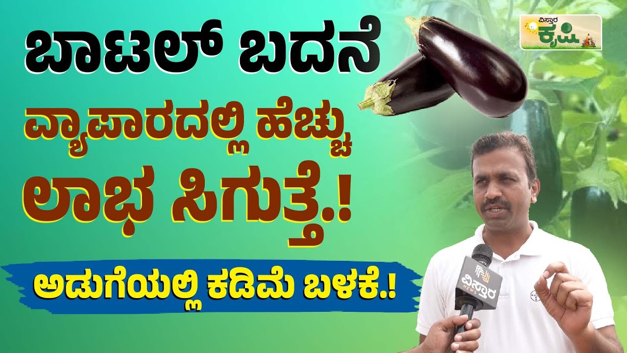 ಬಾಟಲ್‌ ಬದನೆಯಲ್ಲಿ ಹೆಚ್ಚು ಲಾಭ.! ಕಡಿಮೆ ಜಾಗದಲ್ಲಿ ಬೆಳಿಯೋದು ಹೇಗೆ.? | Bottle Brinjal Farming In Kannada