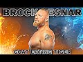 Brock lesnar goat eating tiger   mass edit  brock remixz