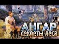 ЛЕСНОЙ АНГАР - Все секреты и неожиданные сюрпризы в одном видео