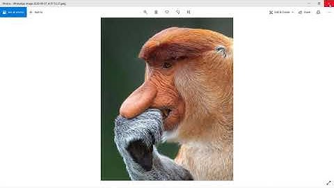 Find related images with reverse image search