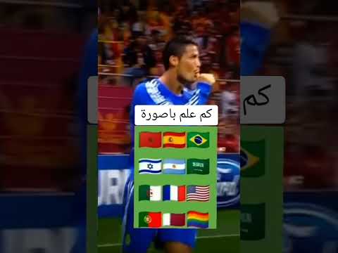 كم علم يوجد في الصورة        