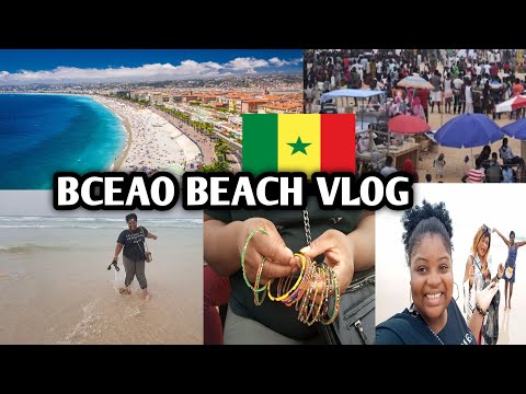 Video: Capricious Ammania Senegalese
