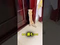 ついにドアが開いた!😻