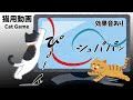 紐が好きな猫が喜ぶ映像【cat game Red and blue string】