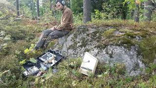 Automatic, generative music in the forest, in Finland screenshot 2