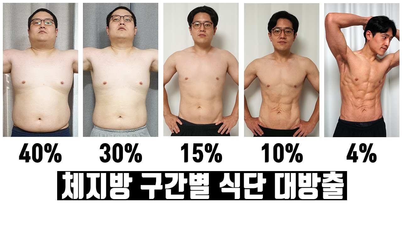 [체지방별 다이어트 식단 1편] / 체지방 40 ~ 20% 구간  (50kg 감량 비법)