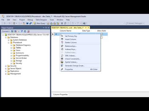 A Phonebook In C# - P2 - Microsoft SQL Database