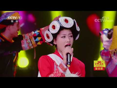 [星光大道]歌曲《婚誓》 演唱：和兴凤 | CCTV