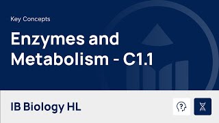 Enzymes & Metabolism [IB Biology HL]