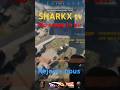 SHARKX/ noscop first kill in sky #warzone #gaming#callofduty  @WarzoneFrance #gamingvideos#cod