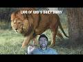 The Lion of God's Daily Diary: 4/26/2026, Ezra 8