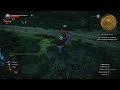 The Witcher 3: Wild Hunt. Первое прохождение. (Часть 8)