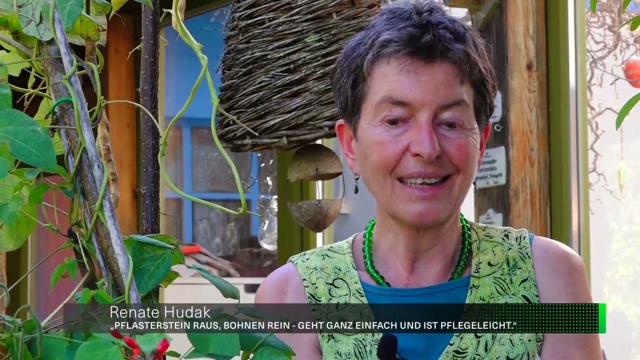 Die Gartenfreunde – Pflasterbohnen ernten