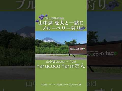 harucoco farm（ハルココファーム）の紹介動画サムネイル