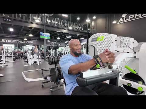 Officially At Alphaland Understanding Frequency