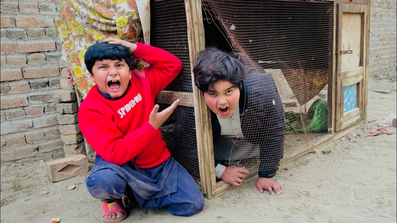 Kaliya ny nimi zoo me hamry pets ka cage phar deya 🥺 ||