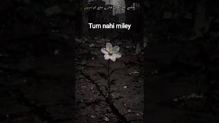 Best poetry 🥀 #poetry #shortvideo