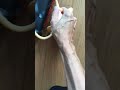 浣腸 動画写真9b