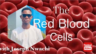 The Red Blood Cells (Erythrocytes) | Joen Academy