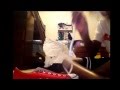 Barlace my brand new converse but suscribe like and request for me to do things