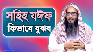 সাধারণ মানুষ কিভাবে বুঝবে সহিহ যঈফ | sheikh motiur rahman madani | Bangla waz 2021 | anzumtv24