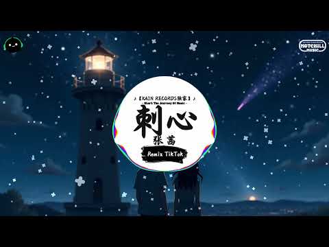 刺心 (抖音DJ版) - 张茜『心不再坚韧一碰就破损 我用牵强的微笑掩饰那些裂痕，笑容有多深伤害就能有多深 现实啊总是太残忍。』♪ || 抖音最火歌曲音 | 抖音 TikTok ♪