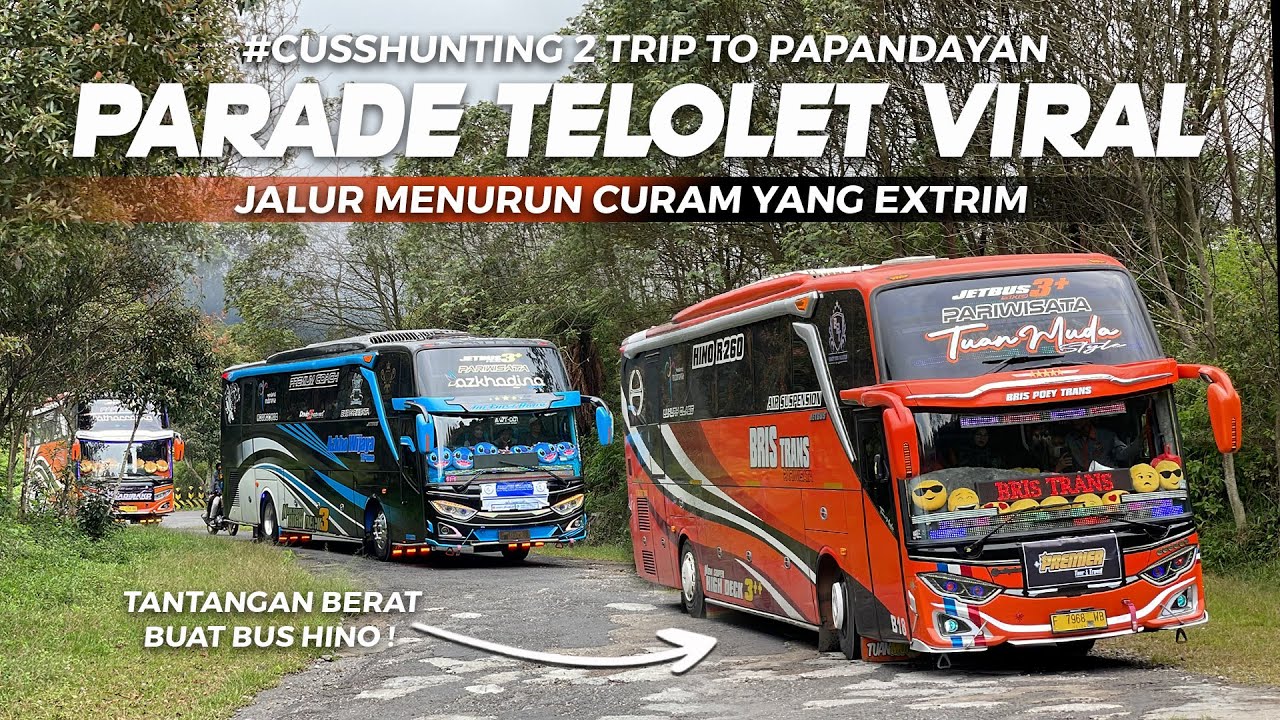 [ SPOT LEBIH CURAM DAN MENANTANG ! ] PANEN TELOLET MENGULAR YANG VIRAL! #CussHunting Papandayan 2