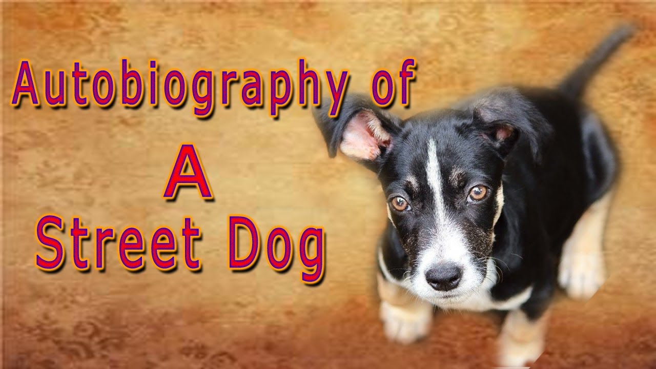 autobiography of dog in english