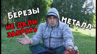 Выезд на очередной коп / Находка в березах / Копаю металл