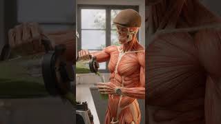 Skinny Se Strong 💪 | Weight Gain Journey for Young Boys (Real Tips!)