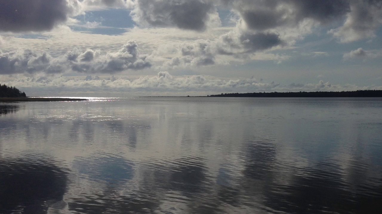 Haydn Nelson Mass Qui tollis