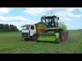 Комбайн Claas Jaguar 870 и грузовик МАЗ 5551 работают на кормах в СПК &quot;Гигант&quot;