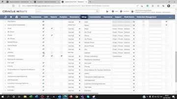 Cannot find custom field on netsuite import mapping