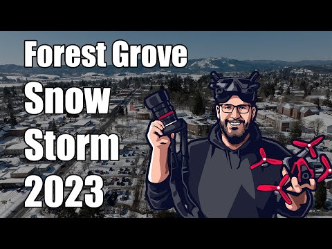 Forest Grove After Winter Storm 2023