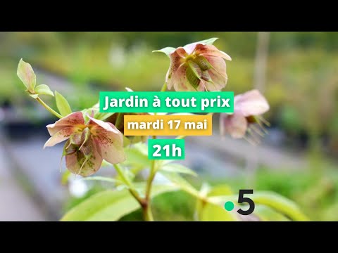 Jardin à tout prix @/Samedi%C3%A0toutprix