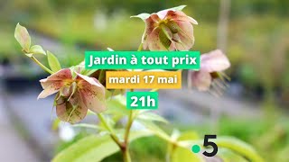 Jardin à tout prix by Samedi à tout prix 3,017 views 1 year ago 39 seconds
