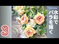お庭のバラを透明水彩で描く 水彩画 酒井芳元