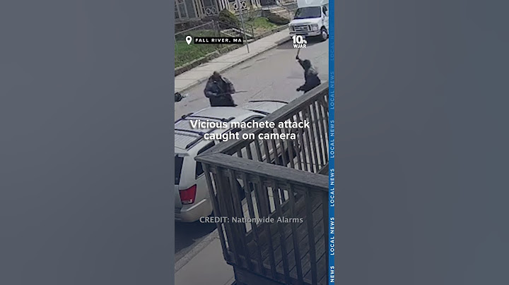 Vicious machete attack caught on camera