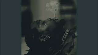 Famous Offset - Professional (clean) Profile