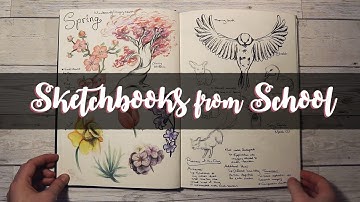 Studying Art || Level 2, 3 & 4