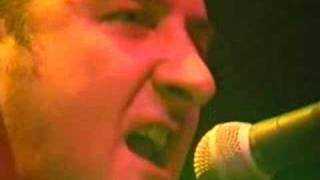 Shirehorses - Country Spouse