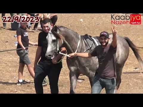 شوط الخروف أمهار مواليد 2020 جروب 1 رمضان الزعيم ابن دقة برنس تام ميدان المطار طمرة 22 9 2023