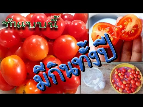 2 วิธีถนอมมะเขือเทศให้กินได้นาน🍅How to preserve tomatoes