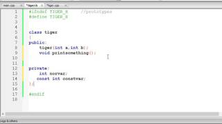 Member Initializers  in C++
