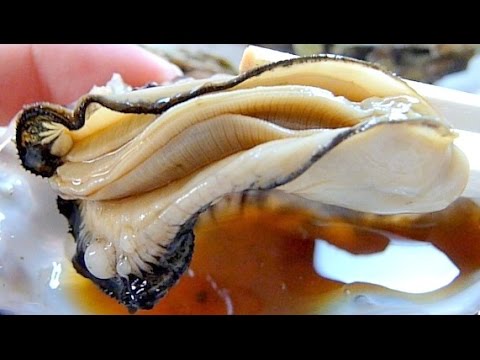 Eating Japanese food Mushigaki Not Sashimi...(ASMR)