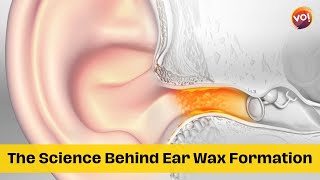 Unraveling the Mystery The Science Behind Ear Wax Formation | Vibes Of India