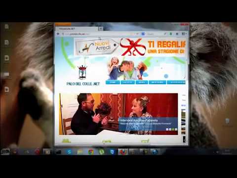 Hacking website using SQL InjectionDownload DDOS Attack Tools